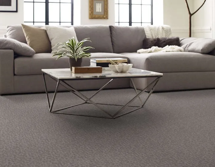 Living Room Carpet
