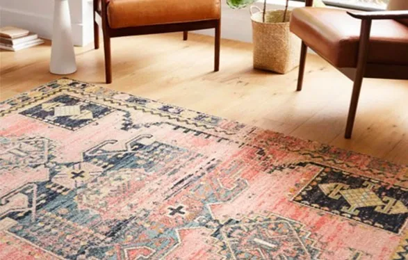 area-rug-expert