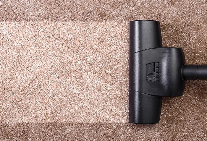 area-rug-img-daily-care-700-x-477-1